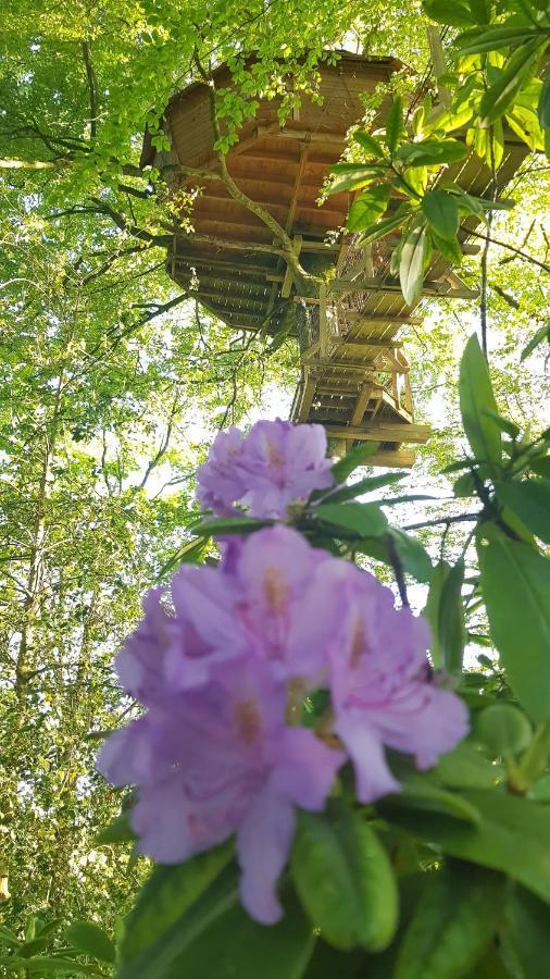 Bed and breakfast Le Domaine De - Legends